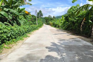 P44.7-M farm-to-market roads in Palawan to spur agri activities