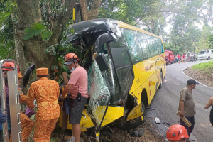 6 dead in Laguna bus-SUV collision