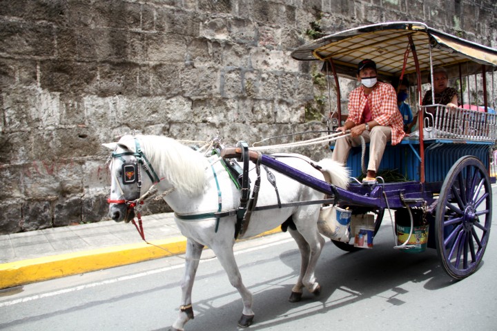 Traditional transport