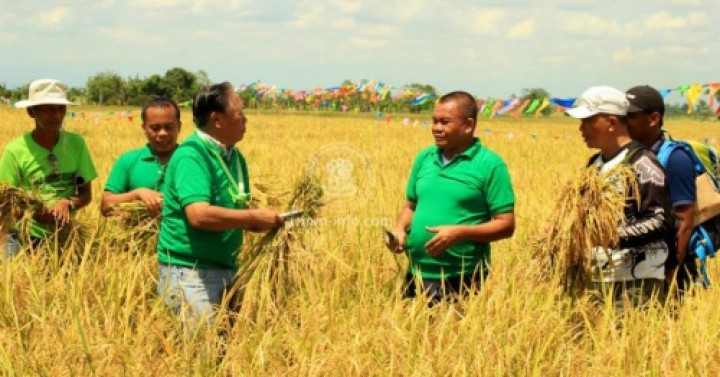 ARMM growing economy hinges on strong agri-sector | Philippine News Agency