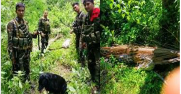 Soldiers Recover Body Of Npa Rebel Killed In Batangas Clash