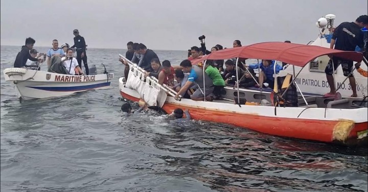 Stranded rough-toothed dolphin in Pangasinan returns to sea ...