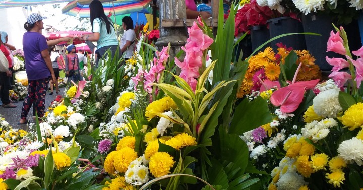 Cost of flowers up in Bacolod; 250 vendors get special permits