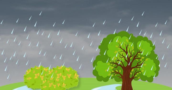 LPA to bring rain showers over Camarines, Quezon