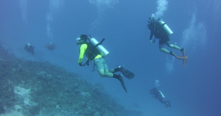 Mati City dive site documentation continues | Philippine News Agency