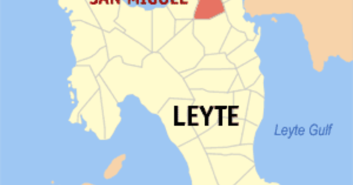 Village chief on drug watchlist falls in Leyte | Philippine News Agency