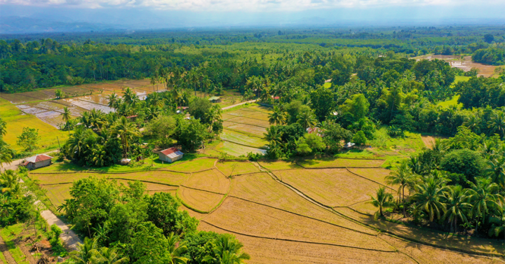 Kidapawan To Allot P76-M For Agriculture Projects | Philippine News Agency