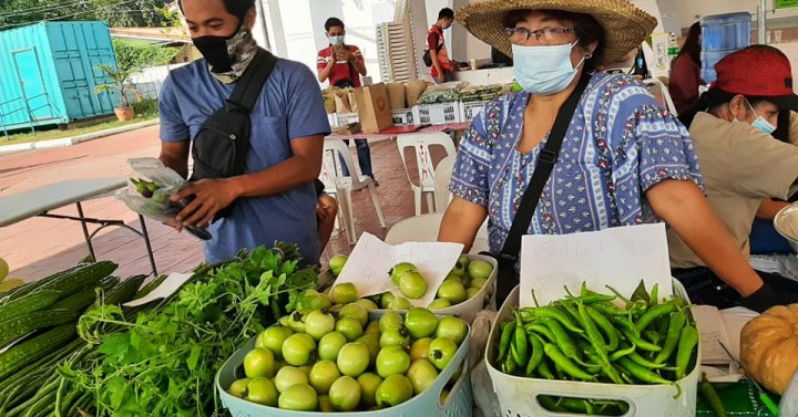 Dar Development Course To Make Entrepreneurs Out Of Farmers 