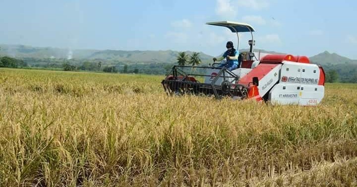 Gov’t reskills Kalinga rice farmers to boost yield | Philippine News Agency