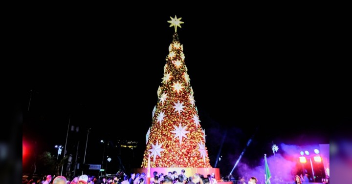 Manila Christmas 2022 Giant Christmas Tree Fans Manileños' Hope For Safer 2022 | Philippine News  Agency