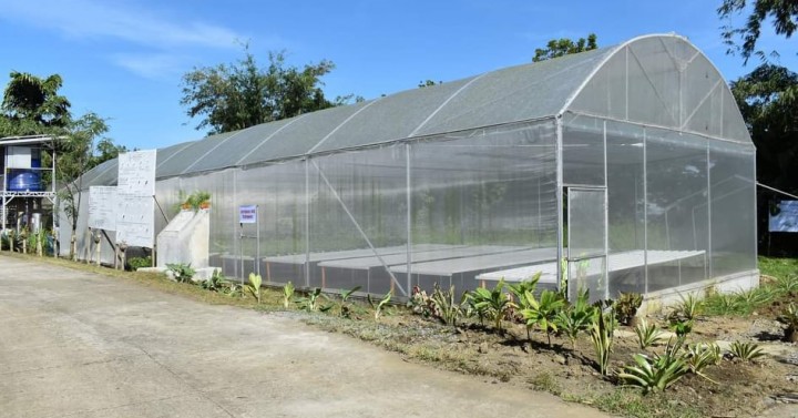 11 Smart Greenhouses Up In DA Research Center In W Visayas   Iloilo Capiz Greenhouse Project 