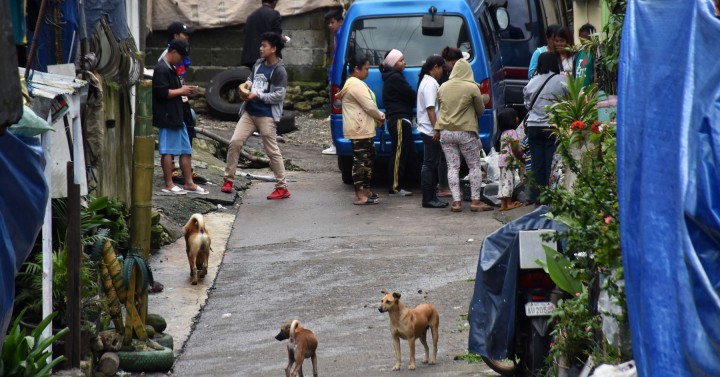 Irresponsible dog owners face raps in Baguio