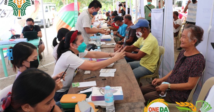 E. Visayas rice farmers get P385.2-M cash aid | Philippine News Agency