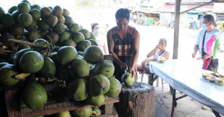 Fresh Buko Photos Philippine News Agency