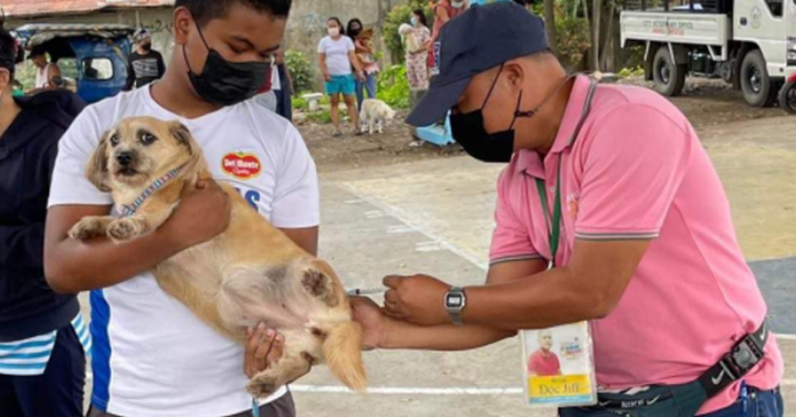 Rabies cases in NorMin up in 2021: DOH | Philippine News Agency