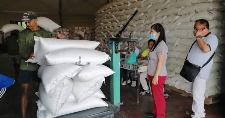 Ilocos Norte’s rice buffer stock enough until October | Philippine News ...