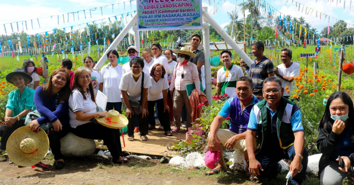 benefits-of-community-garden-to-lumina-homeowners-espacio