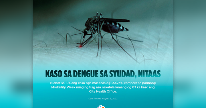 Dengue cases up in Butuan in last 7 months | Philippine News Agency