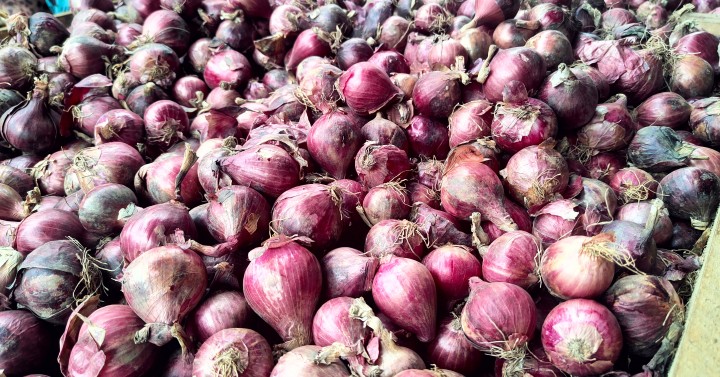 DA Gives P100 M Aid For Onion Growers Links Them To Sure Markets 