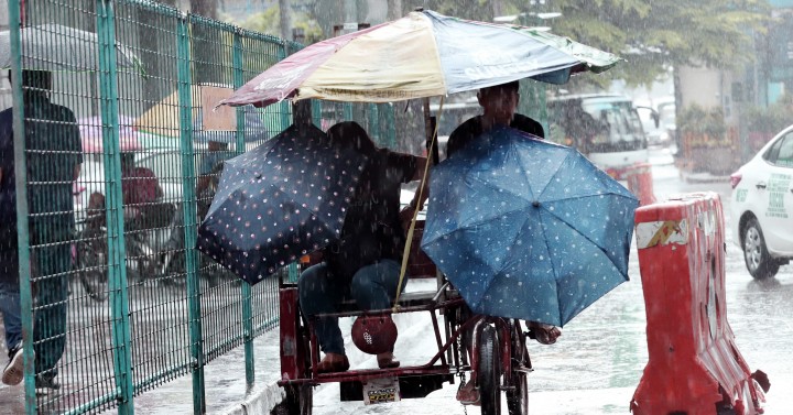 Still wet | Photos | Philippine News Agency