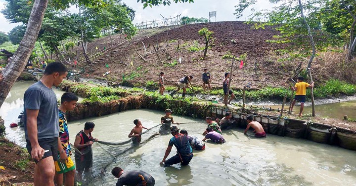 Fish farm harvest 'best Christmas gift' for AgNor ex-rebels ...