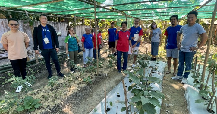 Ilocos Norte’s Organic Veggie Gardens Help Boost Food Security ...