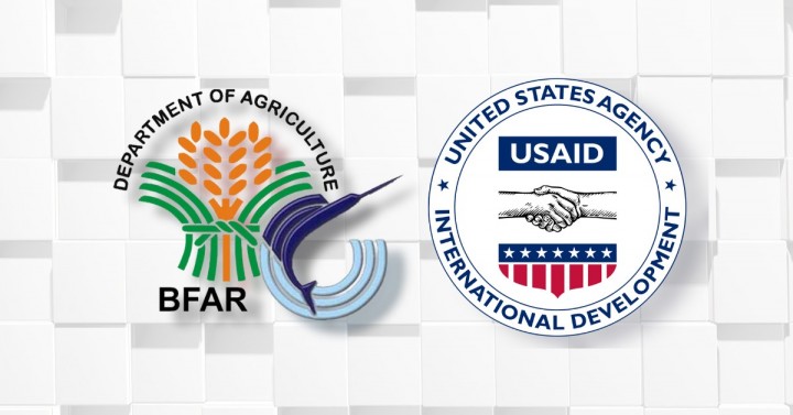 Bfar, Usaid Team Up To Continue Fight Vs. Illegal Fishing | Philippine News  Agency