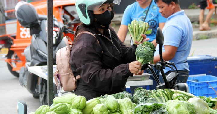 FRESH VEGGIES | Photos | Philippine News Agency