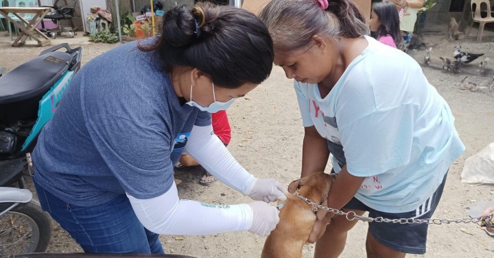 Ilocos Norte declares rabies outbreak | Philippine News Agency