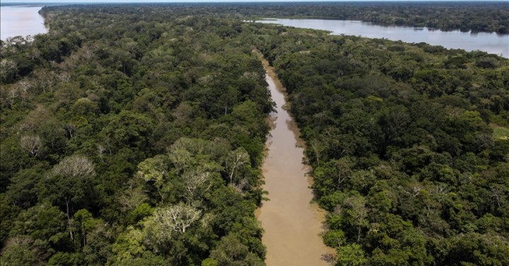 New plan to stop Amazon deforestation by 2030 bared | Philippine News ...