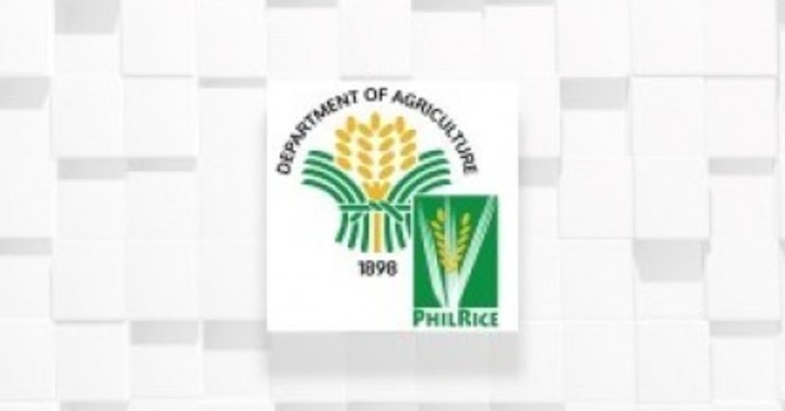 South Korea helps PH produce high-quality rice seeds | Philippine News ...