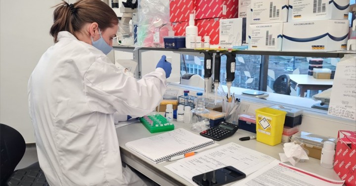 Scottish biotech startup receives investment from Ayala unit stem cell