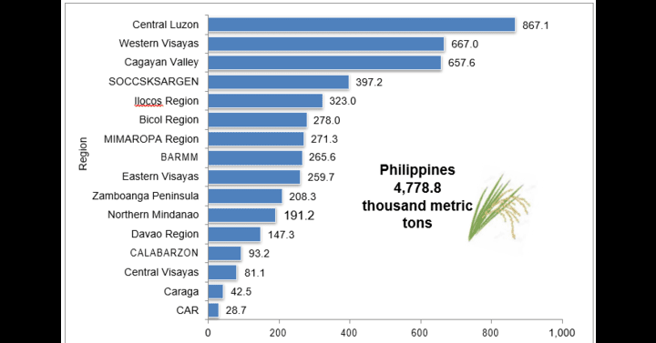 C Luzon Remains Ph S Top Palay Producer In Q Philippine News Agency