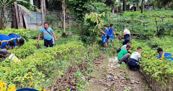 OVP plants 5K guyabano seedlings in Cebu | Philippine News Agency