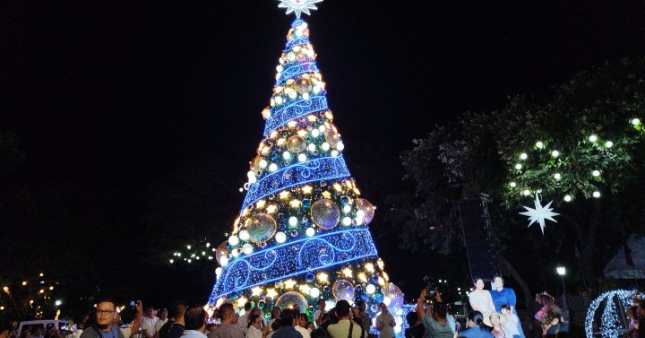 Christmas tree for a cause to bring light to remote villages ...