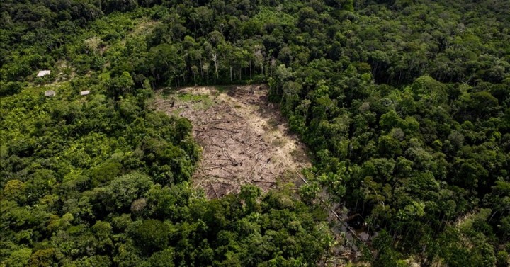 Increasing occurrence of drought tests Amazon rainforest's resilience ...