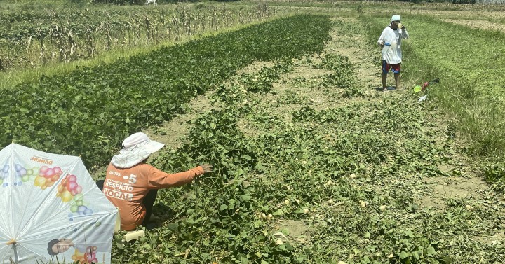 Agri-Tech Revolution: Marcos Jr. Urges Modern Farming to Attract Filipino Youth