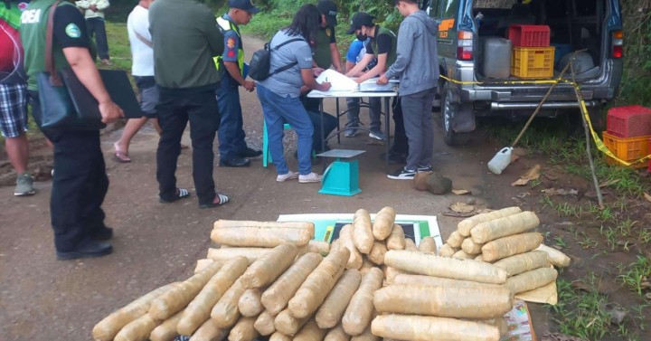 P8.7-M marijuana seized inside abandoned vehicle in La Union