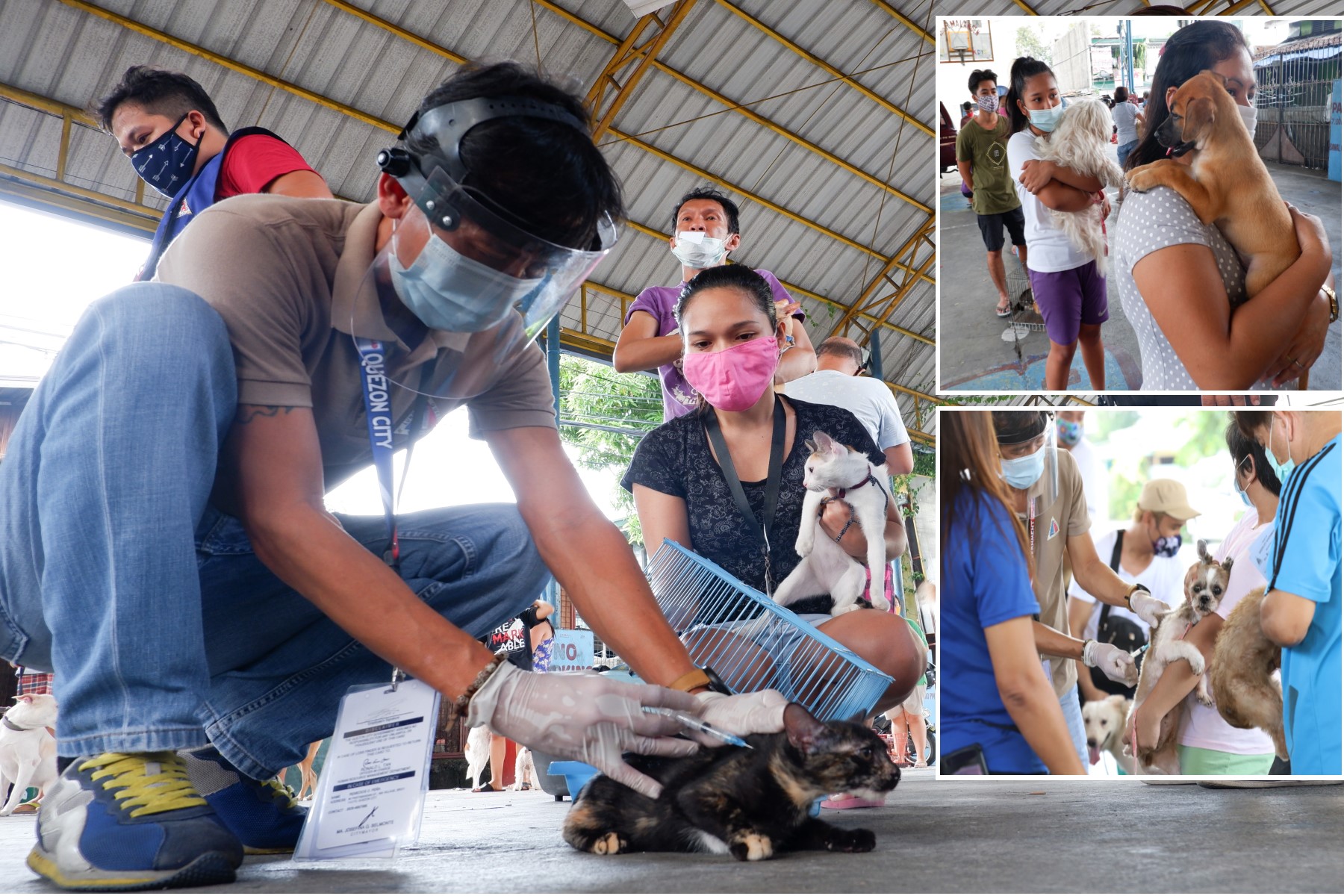 ANTI-RABIES | Photos | Philippine News Agency