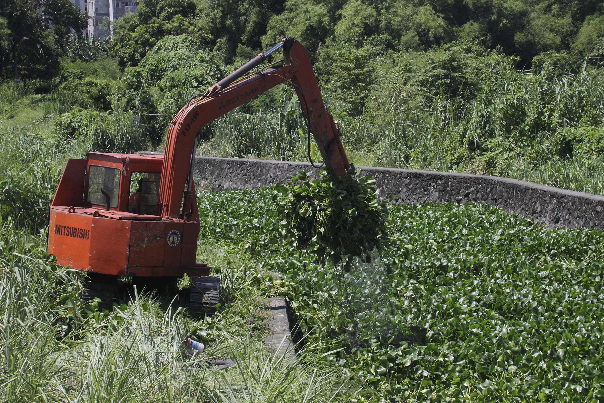 WATERWAYS CLEAN-UP | Photos | Philippine News Agency