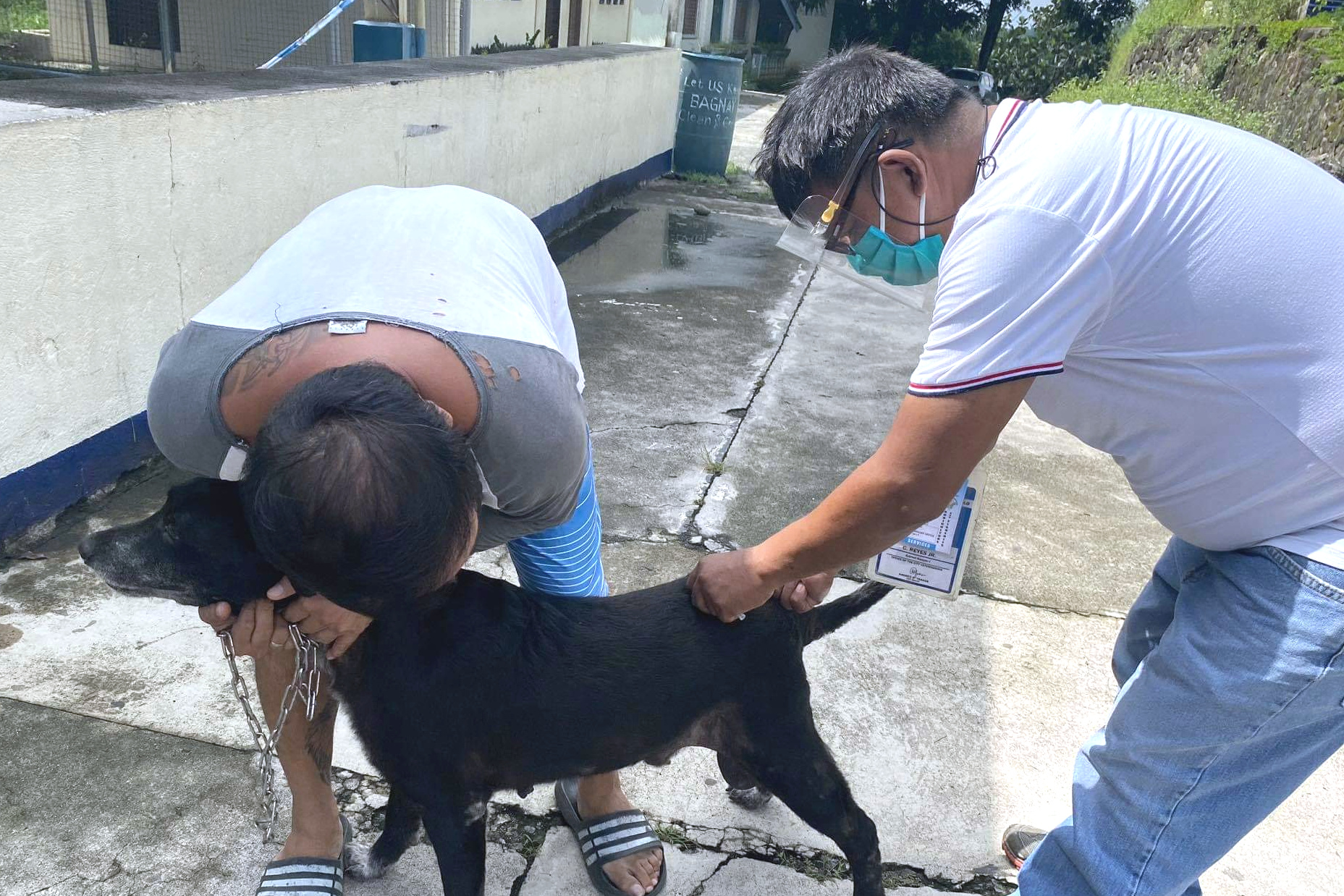 FREE ANTI-RABIES VACCINE | Photos | Philippine News Agency