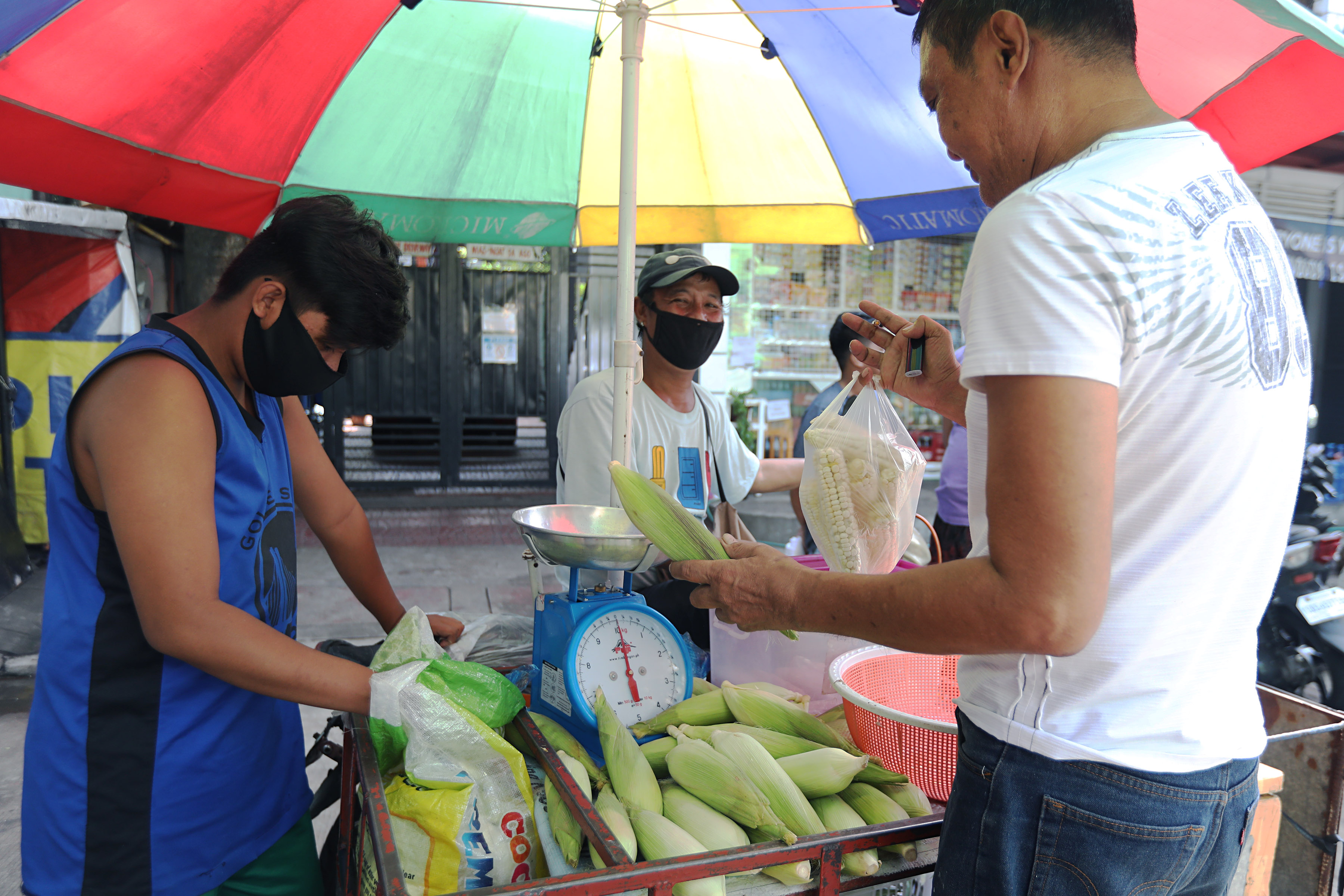 white-corn-good-for-diabetes-photos-philippine-news-agency