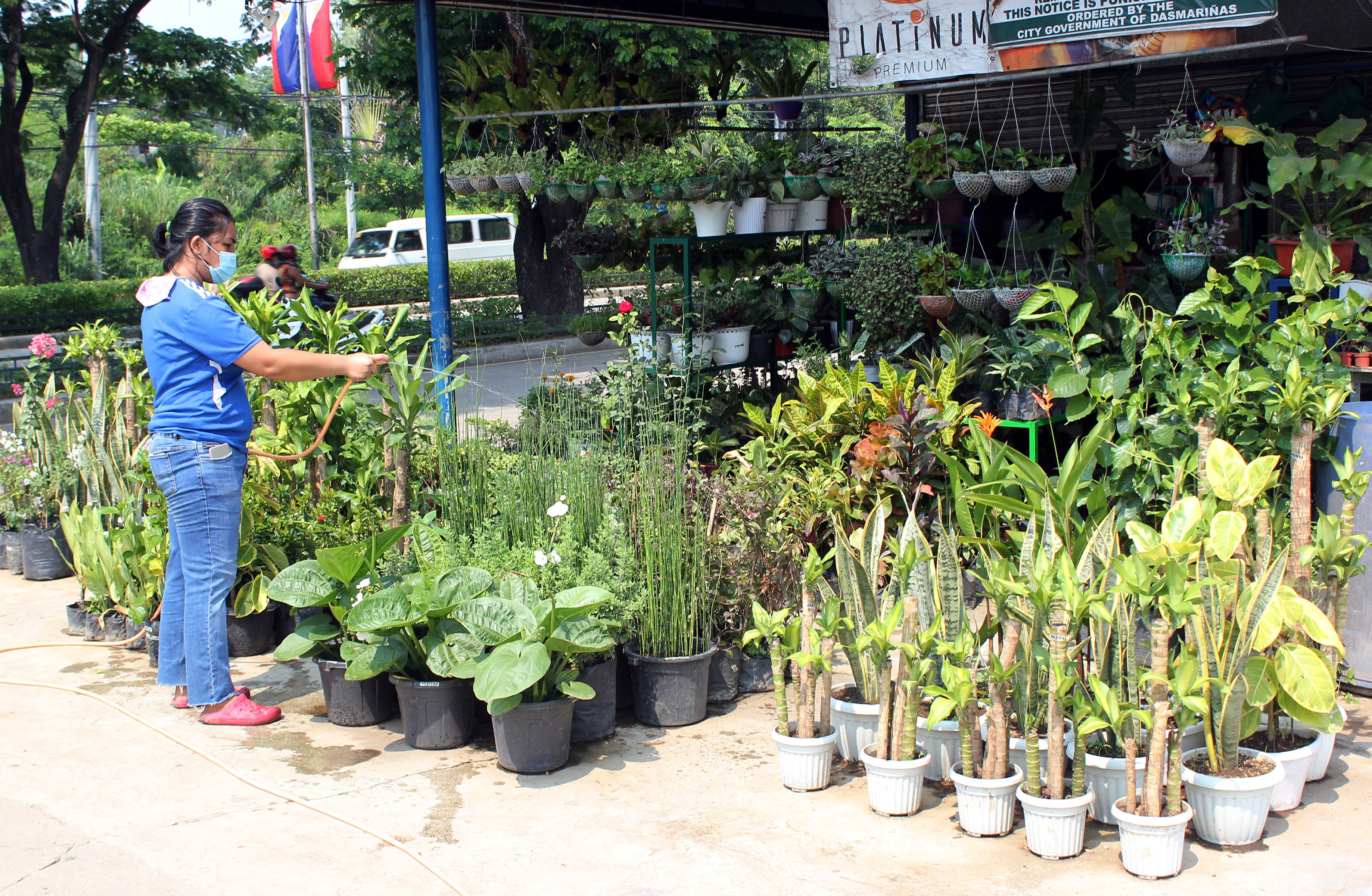 Plant nursery biz