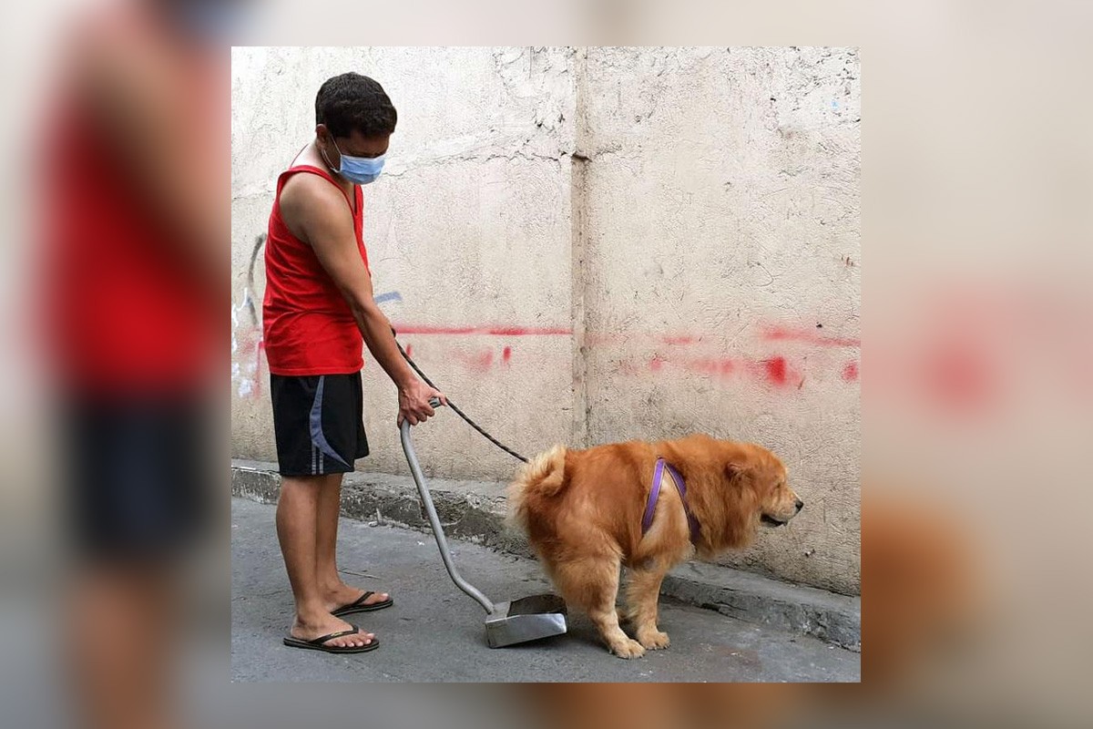 responsible-pet-owner-photos-philippine-news-agency