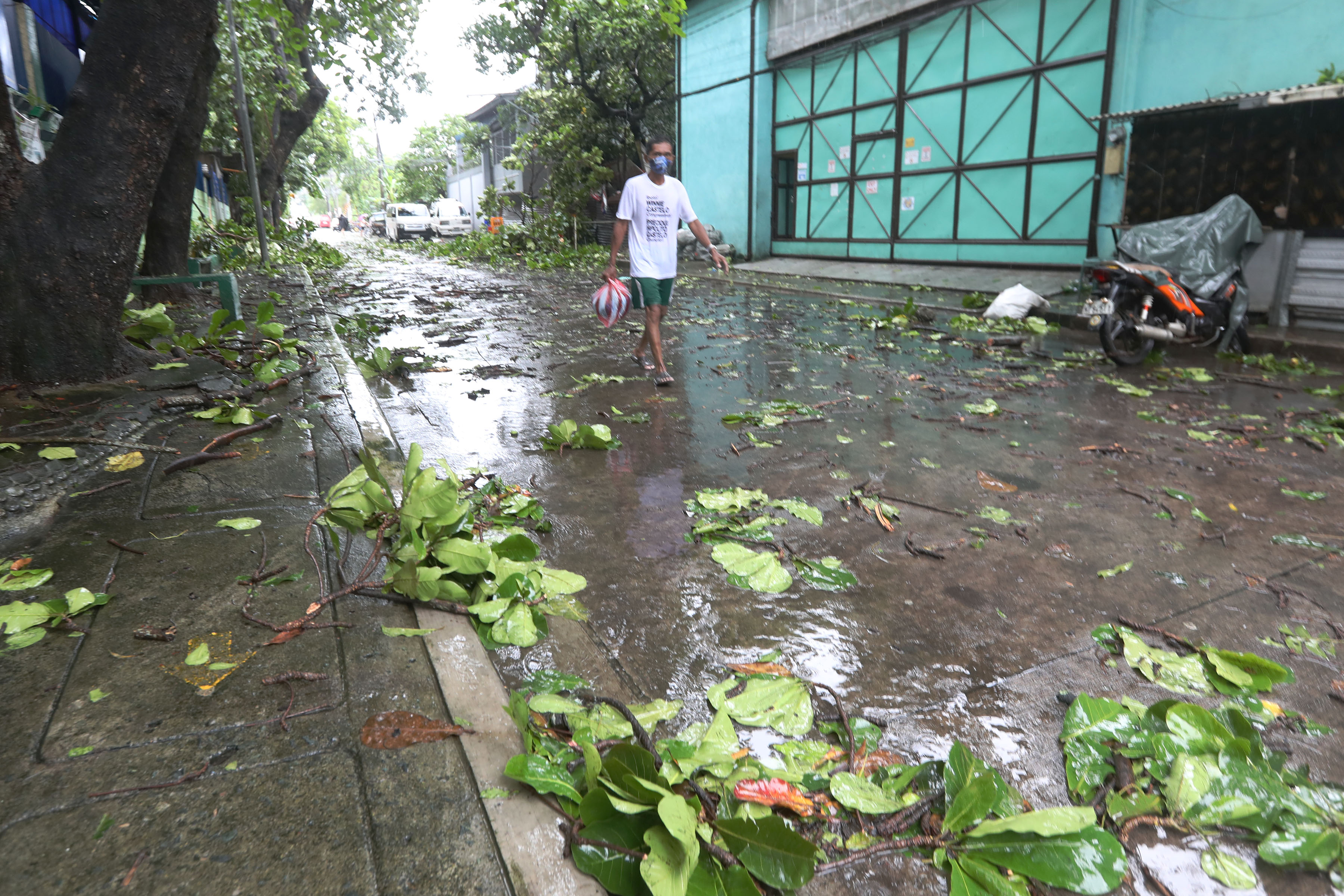 What Does Wet Season Mean