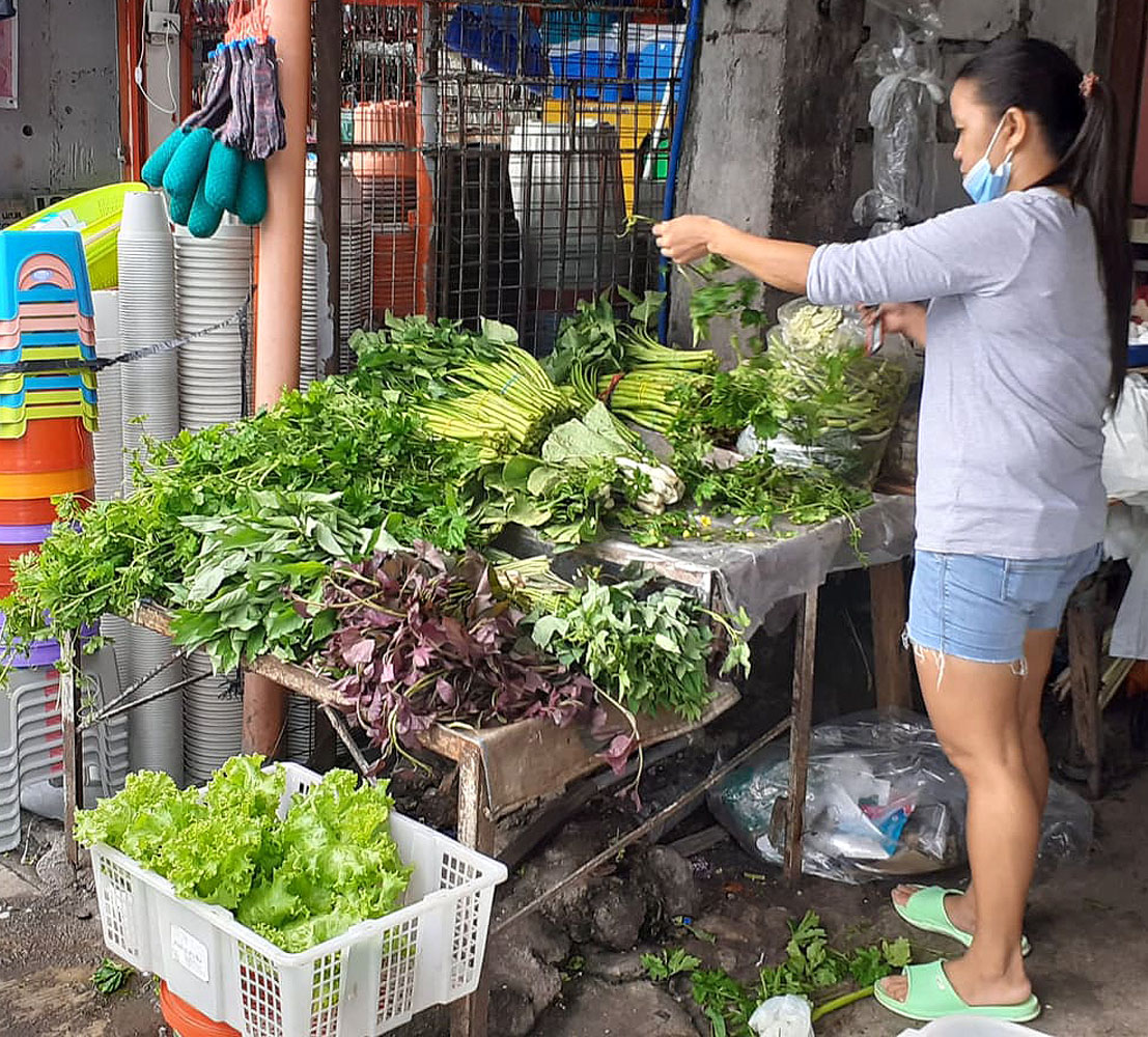 ampalaya-leaves-photos-philippine-news-agency