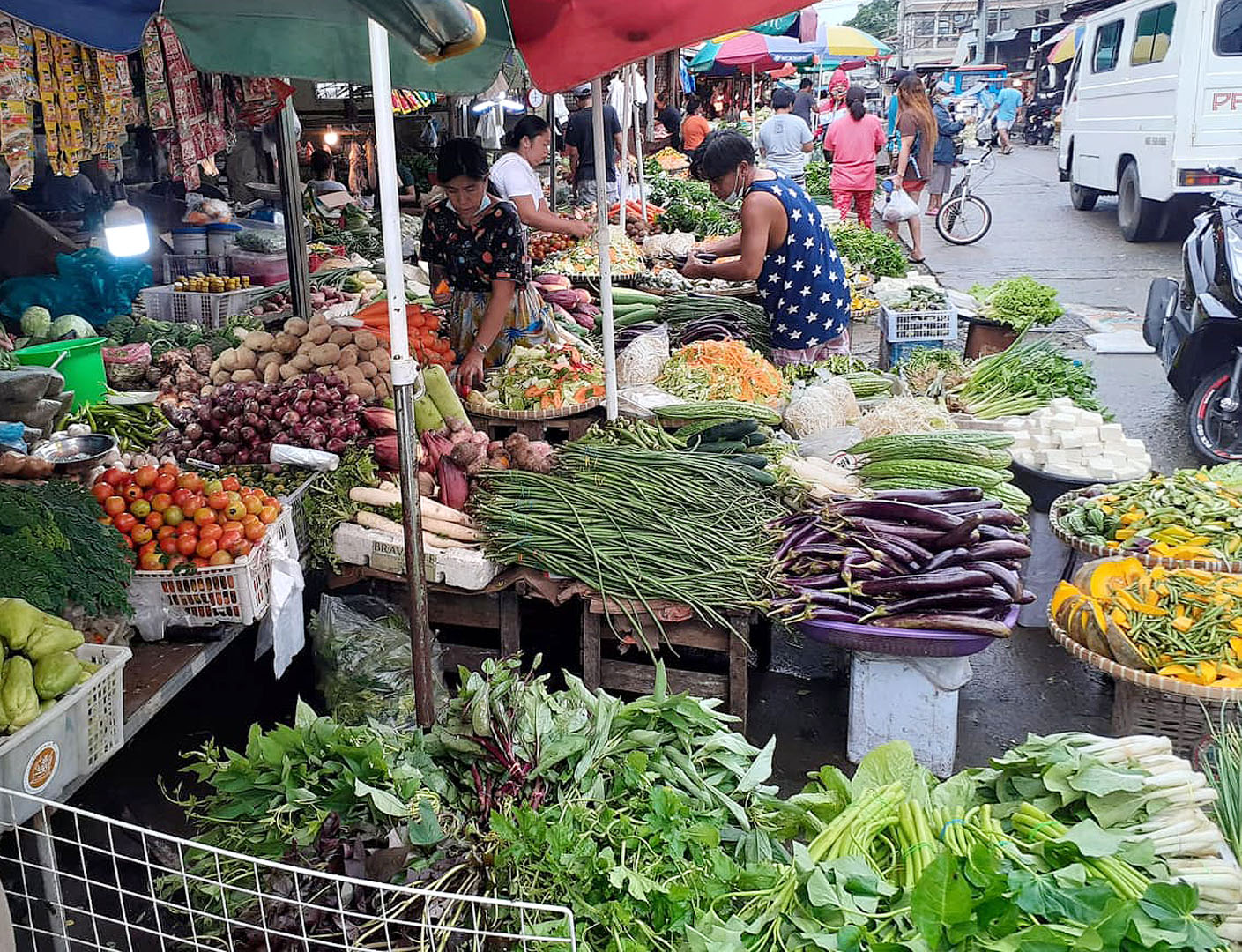 Vegetables | Photos | Philippine News Agency