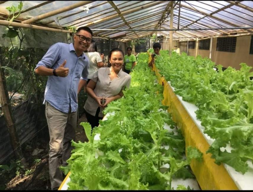 Lettuce production in makeshift hydroponic facility in Capiz
