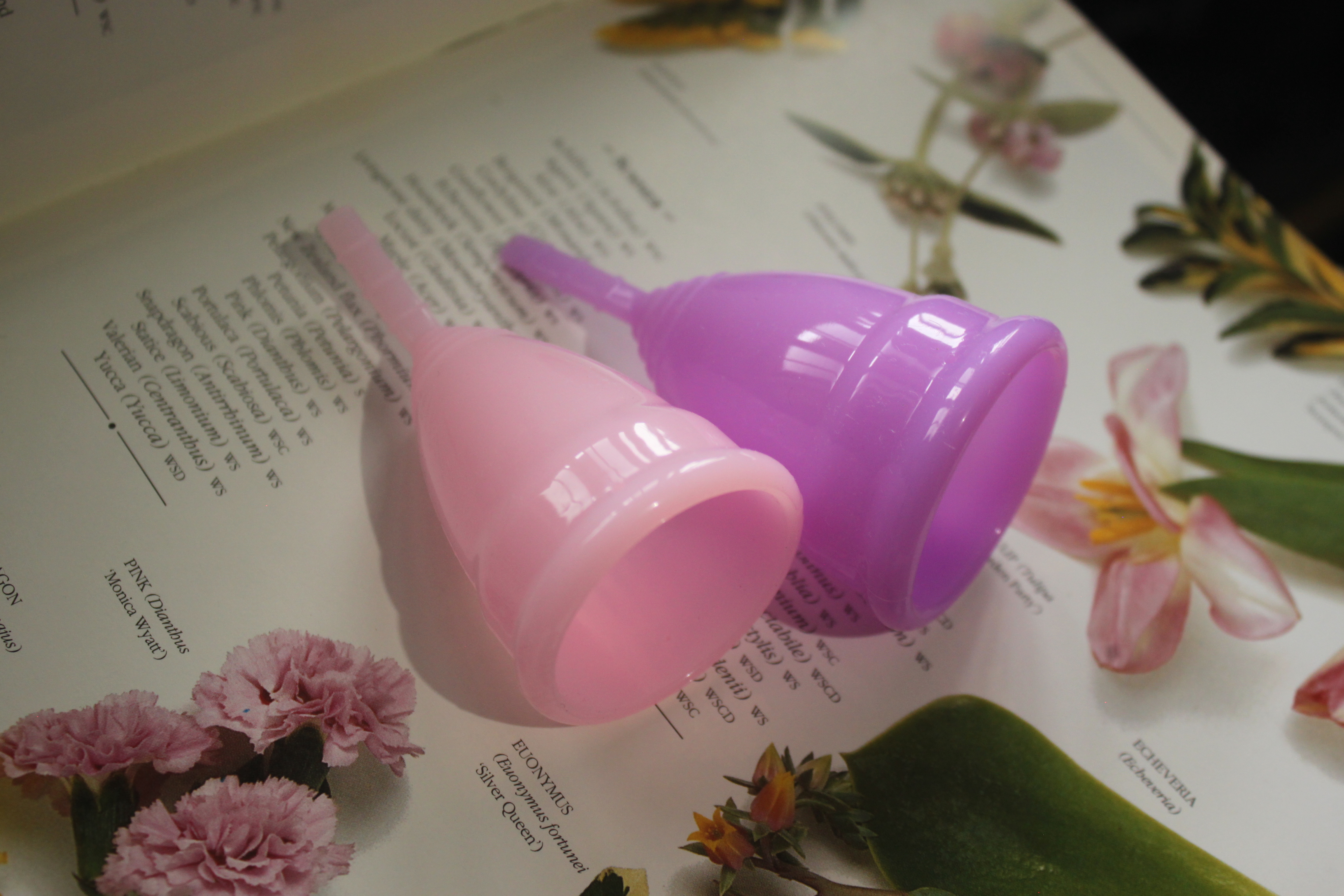 Menstrual Cup BLOOM