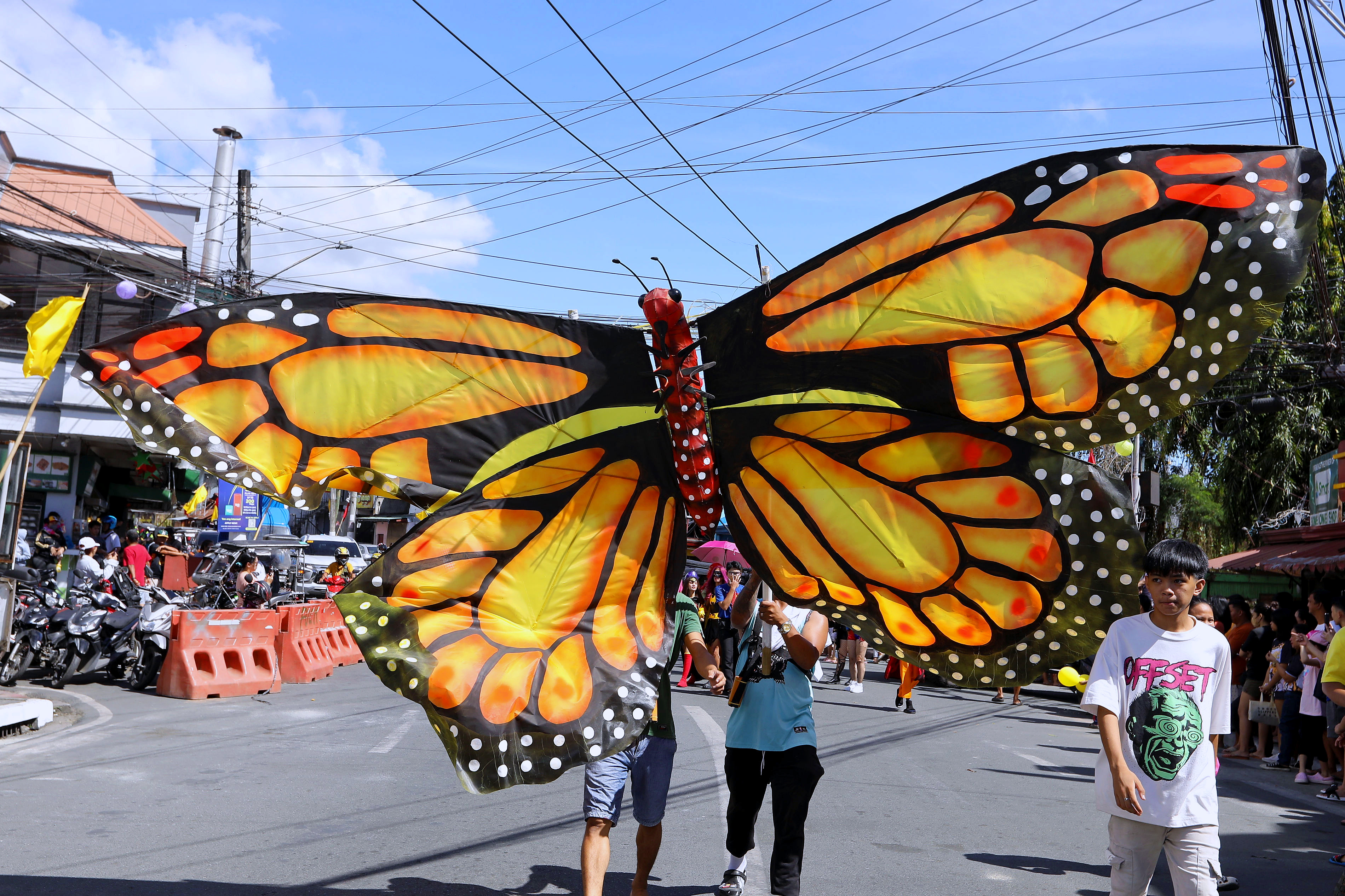 Giant Butterfly Kite